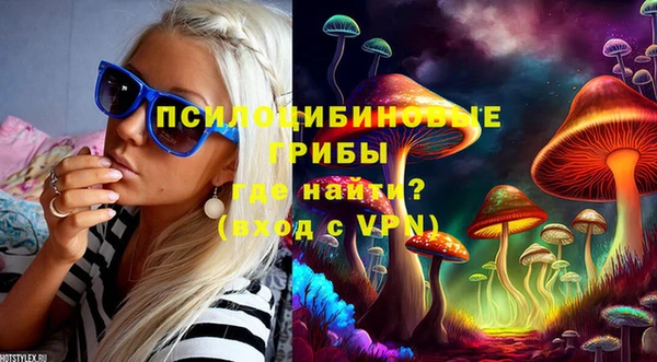 ALPHA PVP Белокуриха