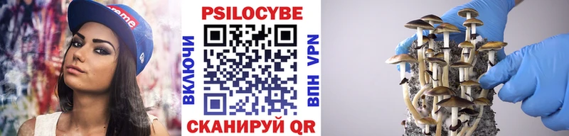 Купить где  Анапа  Псилоцибиновые грибы Cubensis 